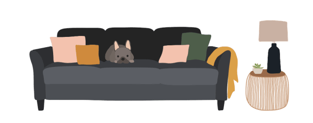 Dog sitting on a couch | Depression and anxiety help 