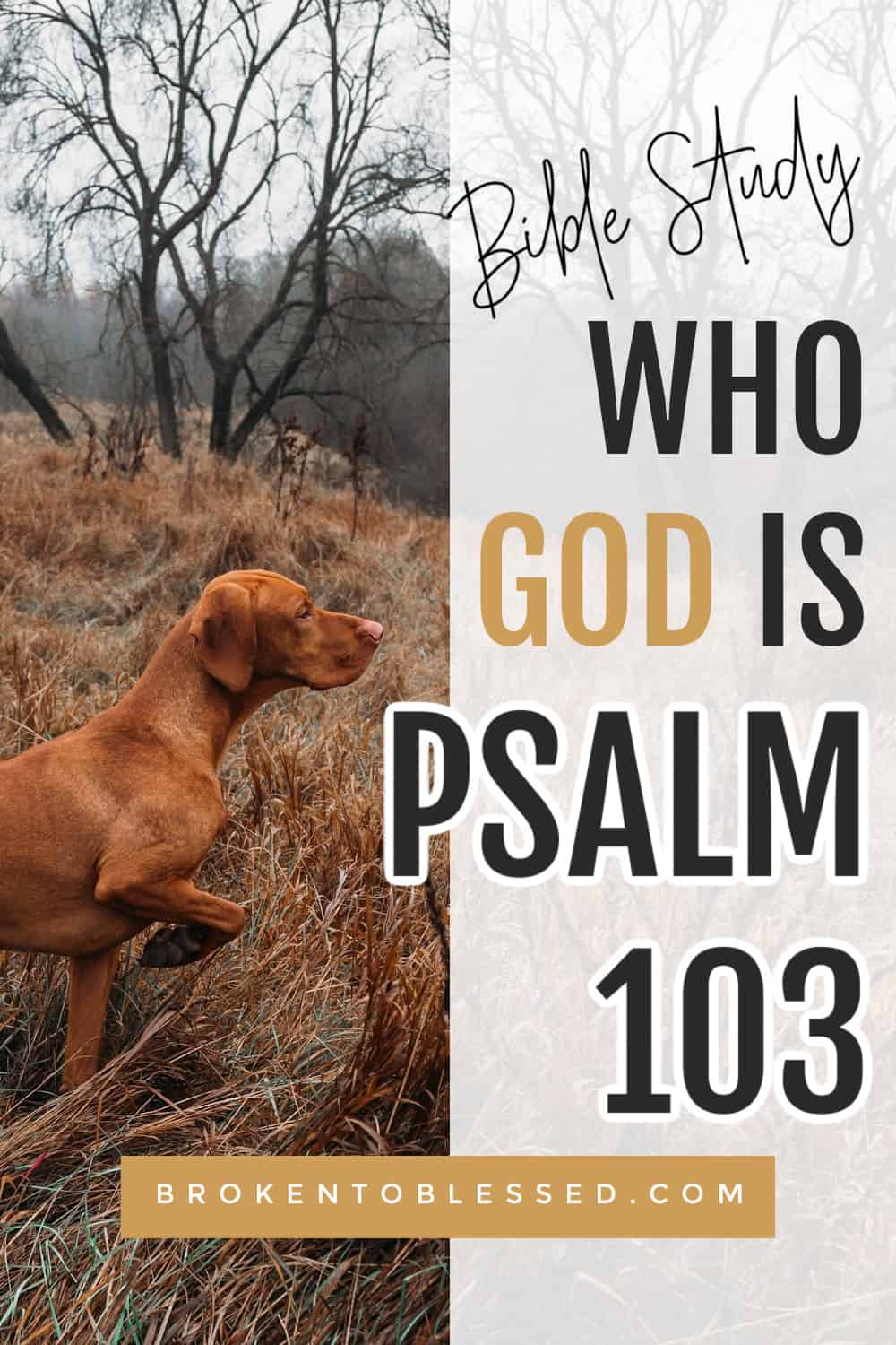 Who God is Psalm 103 Pinterest image 