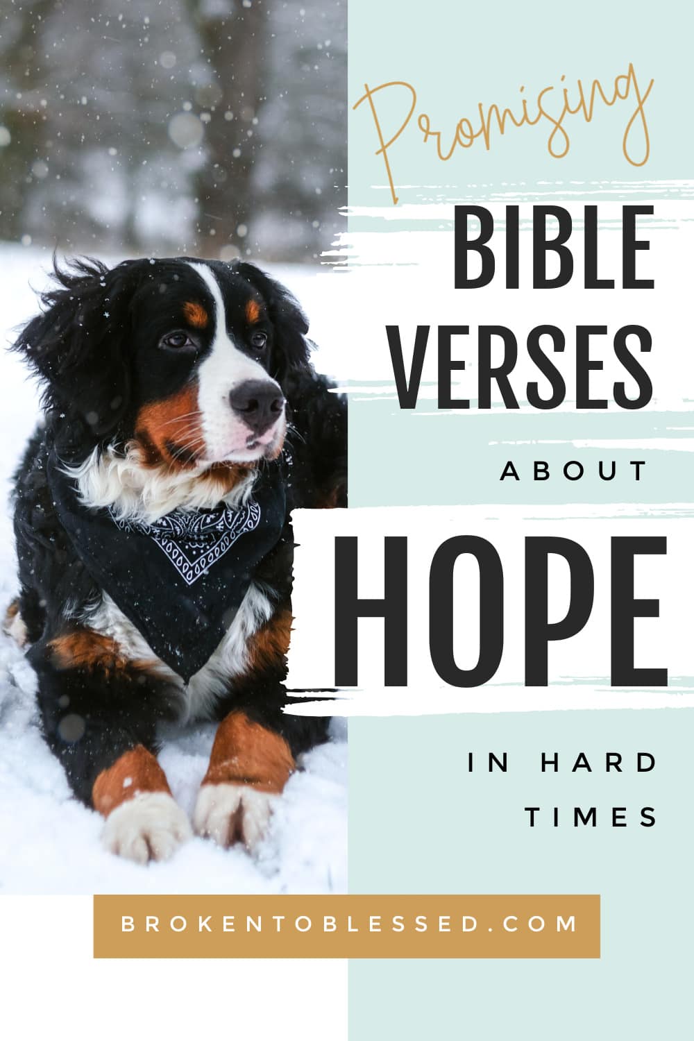 bible verses about hope in hard times Pinterest image 