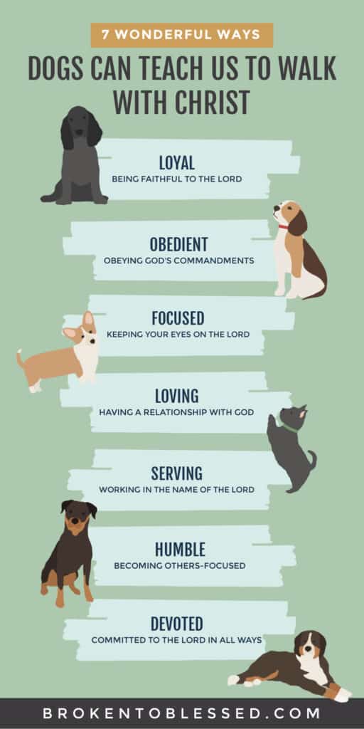 God Running Dogs 7 Wonderful Ways Dogs Can Teach Us to Walk with Christ